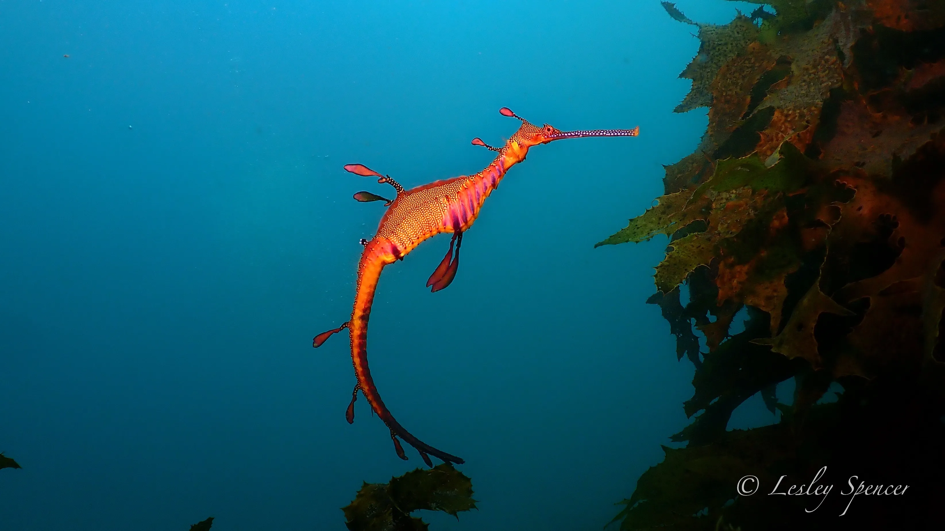 The Steps (Kurnell) thumbnail