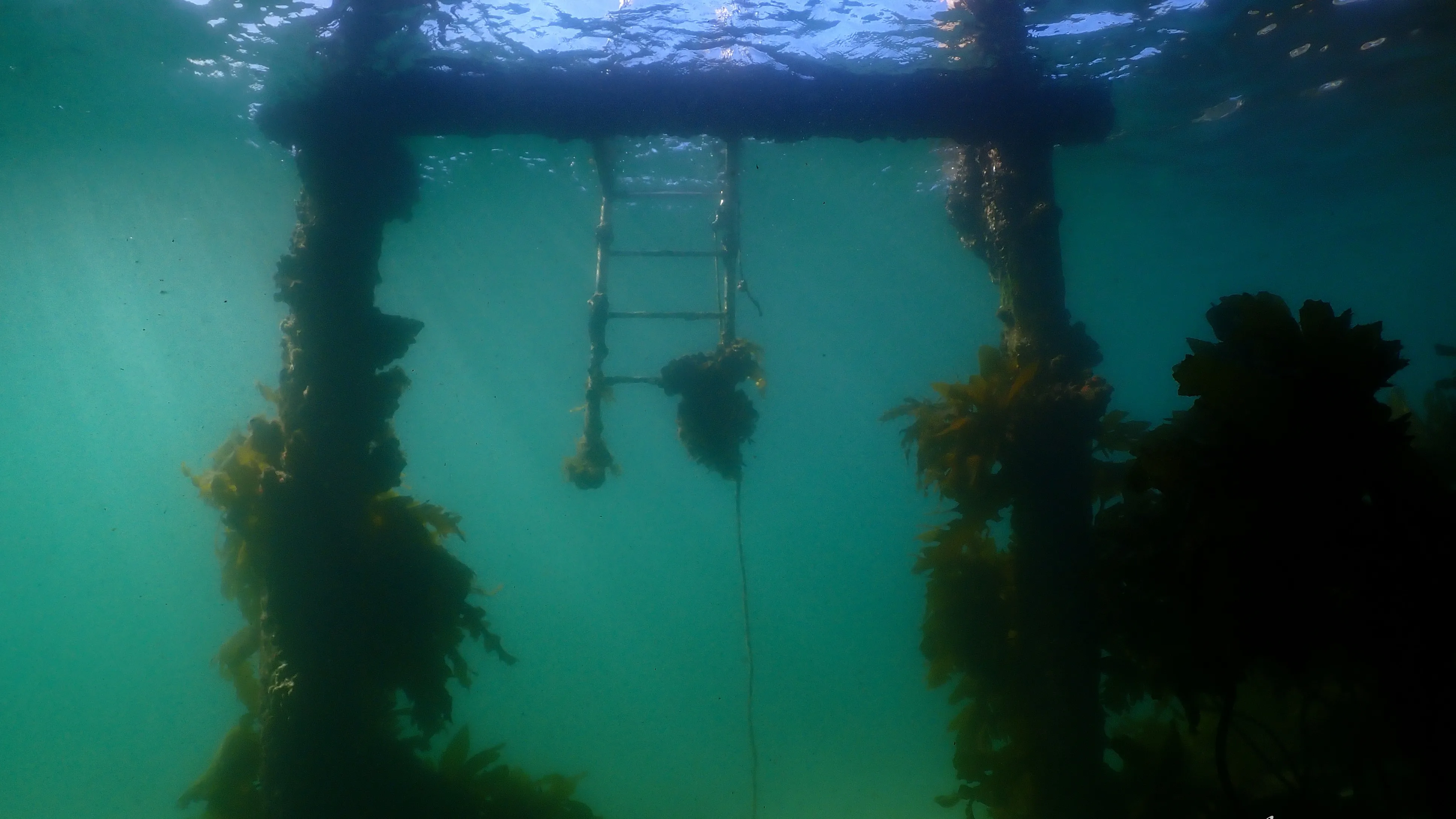 Quarantine Station featured image