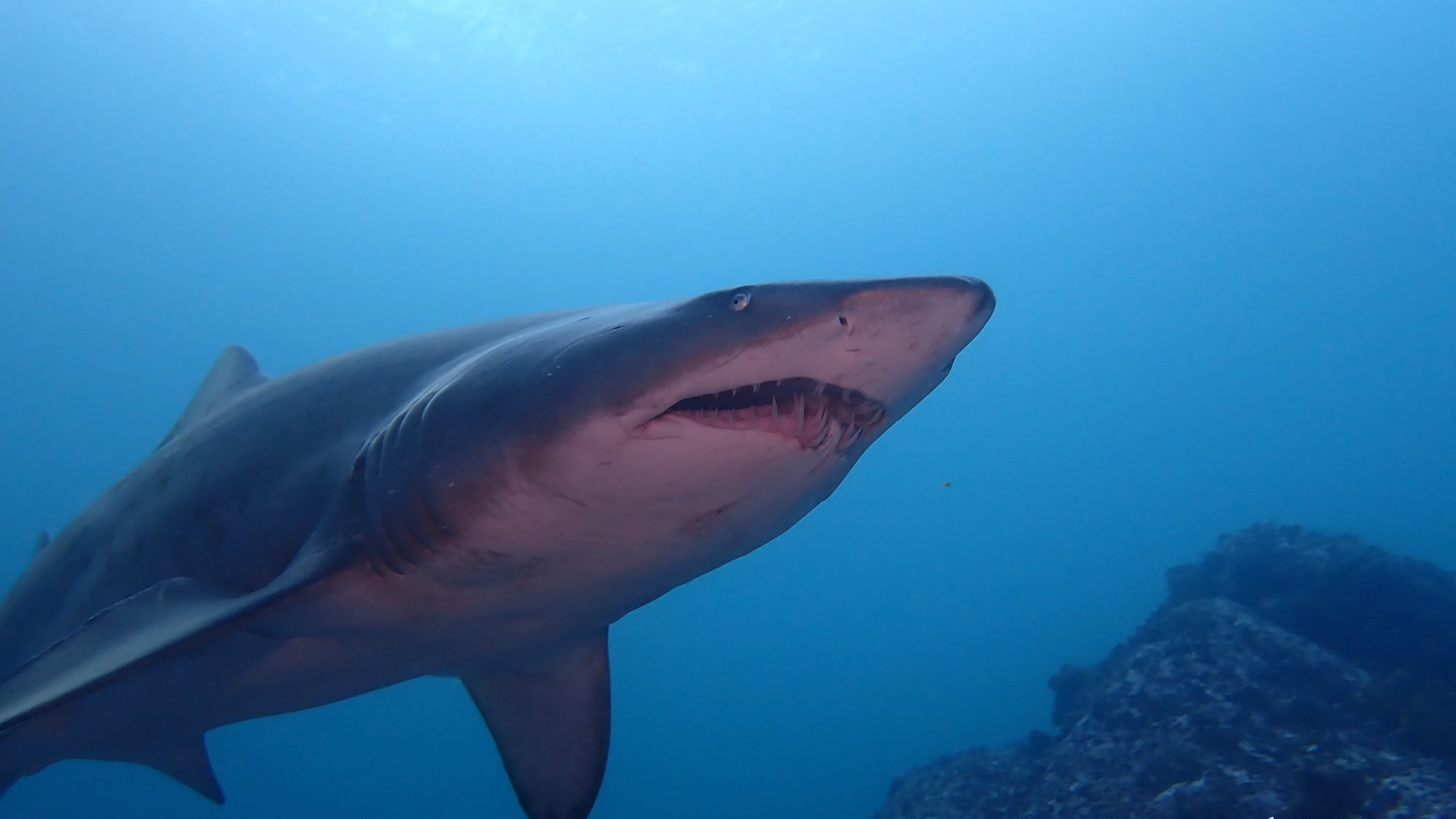 Bluefish Point thumbnail